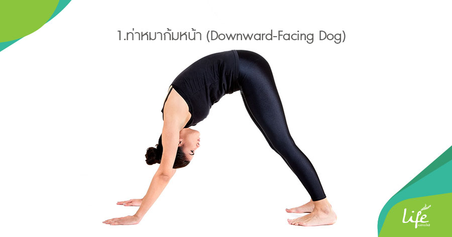 ท่าหมาก้มหน้า (Downward-Facing Dog)