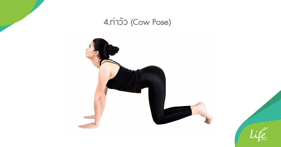 ท่าวัว (Cow Pose)