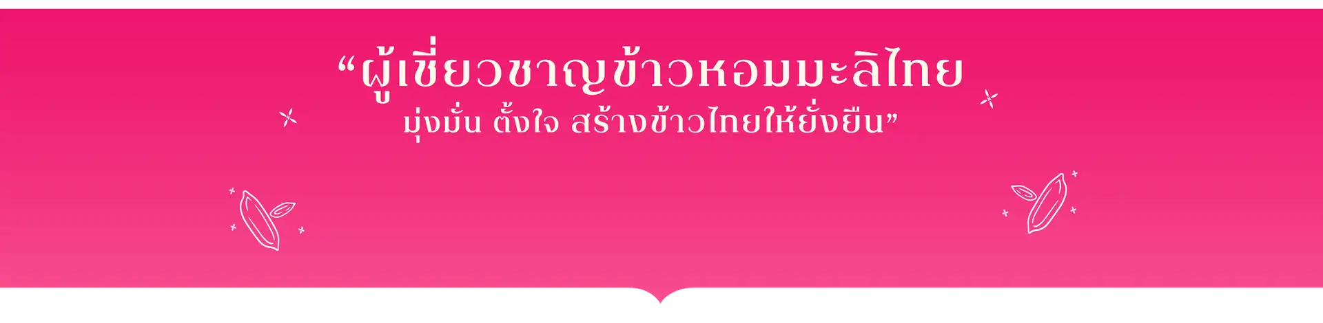 4.หน้าผู้เชี่ยวชาญด้านข้าว — 1.4_เนื้อหา