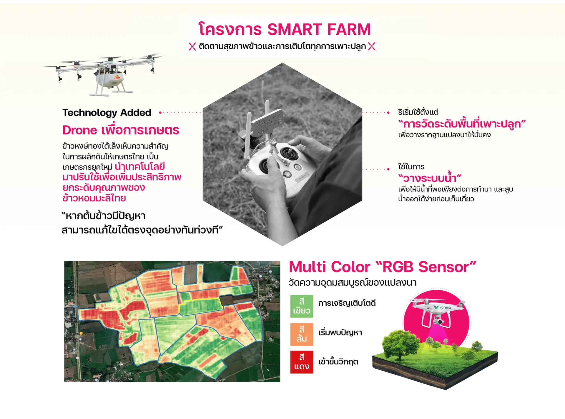 4.หน้าผู้เชี่ยวชาญด้านข้าว — 5.4_เนื้อหา-29